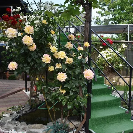 Maricris בית הארחה 3*