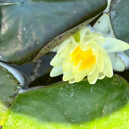 בית הארחה Maricris