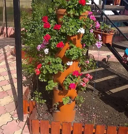 Maricris בית הארחה