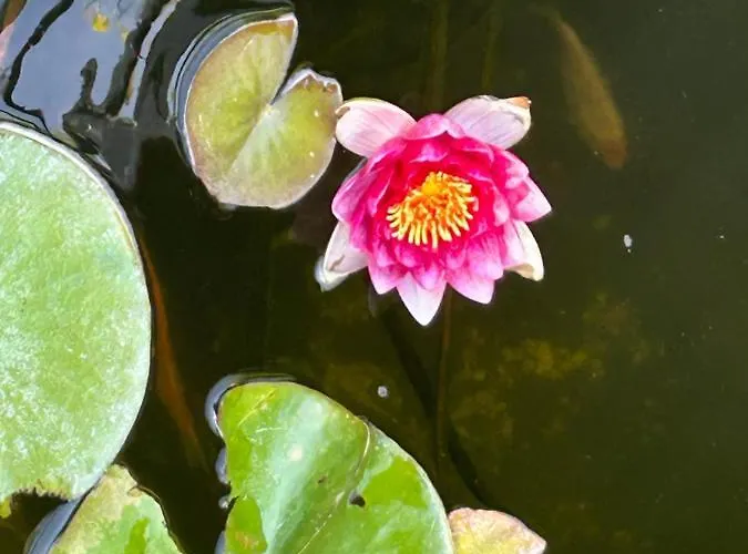 Gæstehus Maricris 3*