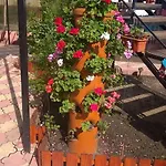 Maricris Guest house